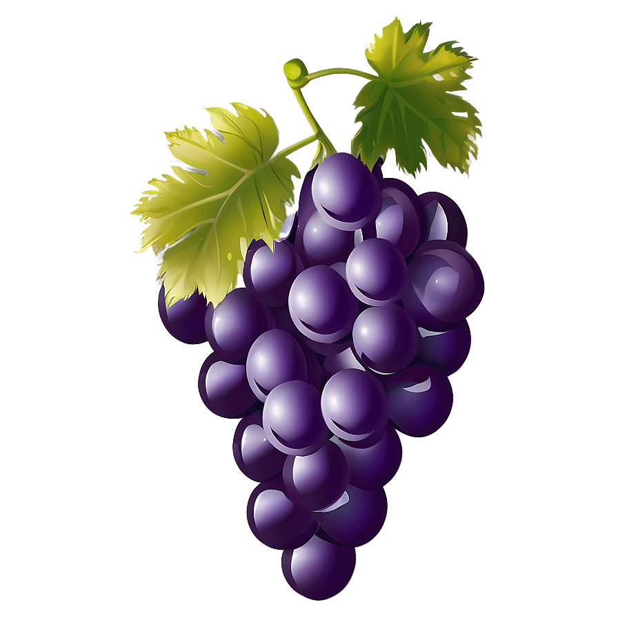 Single Grape Illustration Png Pny