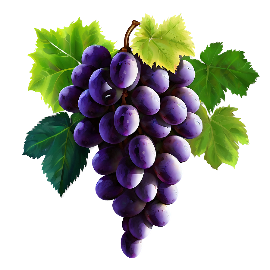 Single Grape Illustration Png Qhq12