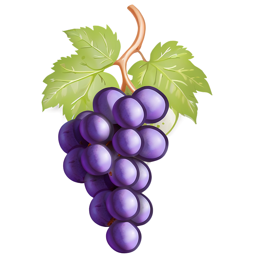 Single Grape On White Png 06292024