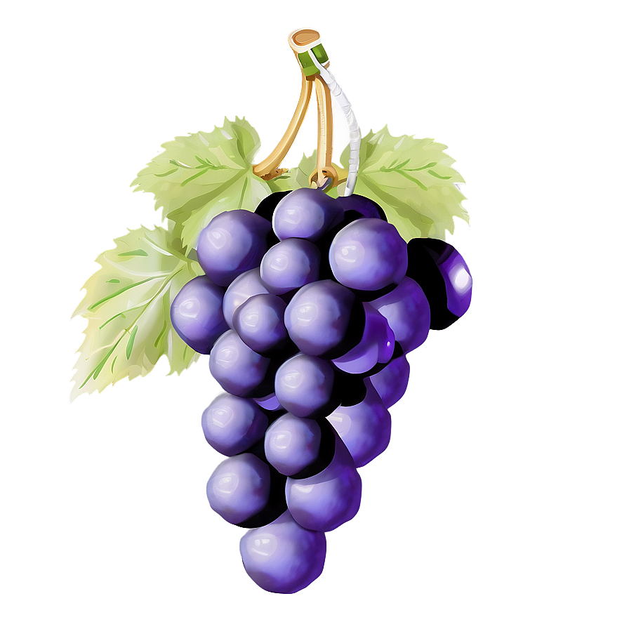 Single Grape Png 77