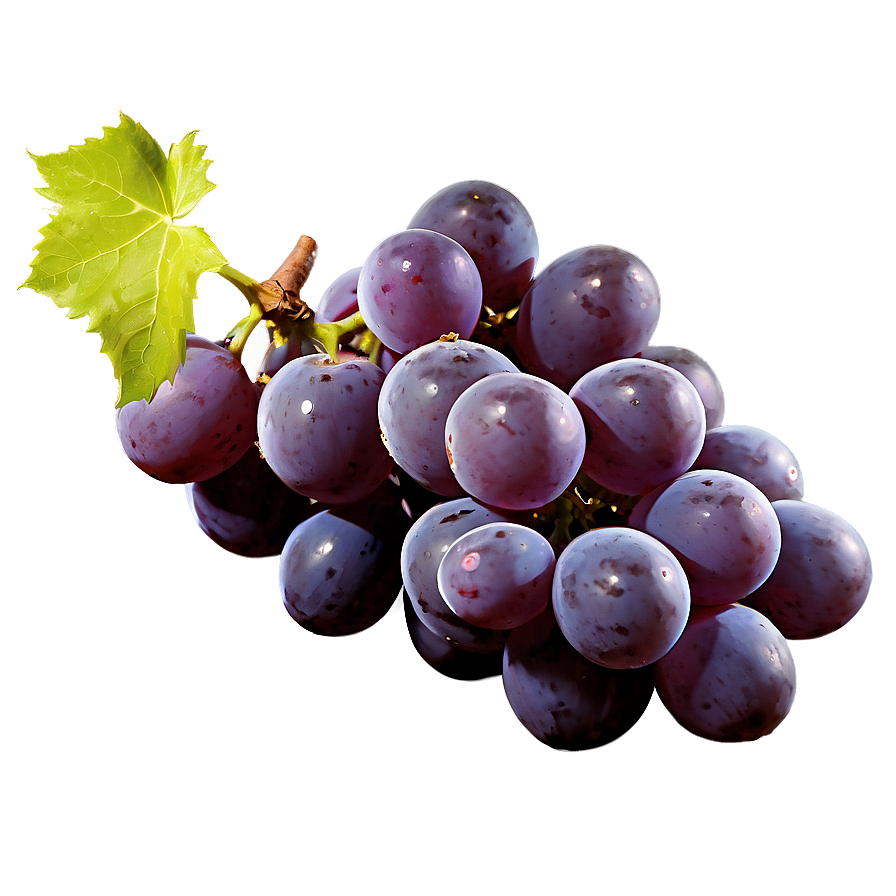 Single Grape Side View Png Fll