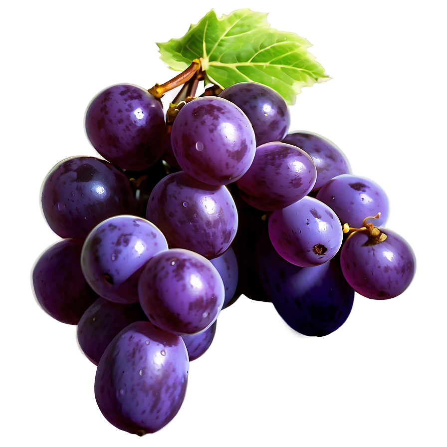 Single Grape With Detail Png 93