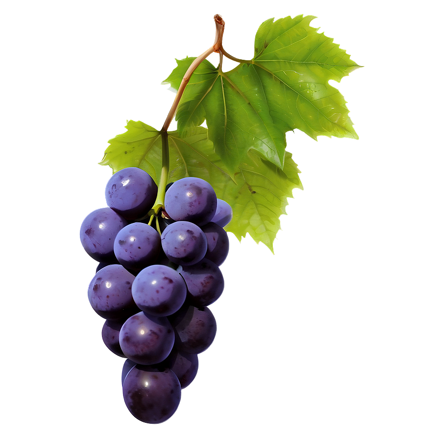 Single Grape With Leaf Png 06292024