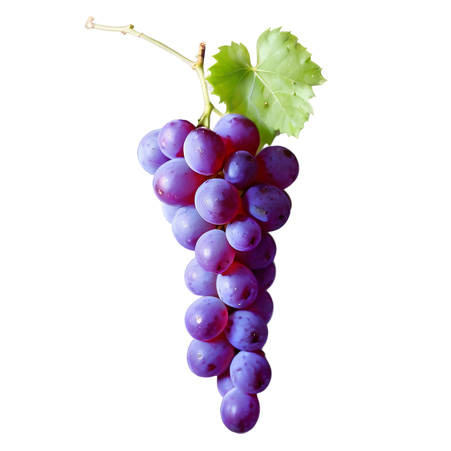 Single Grape With Reflection Png 31