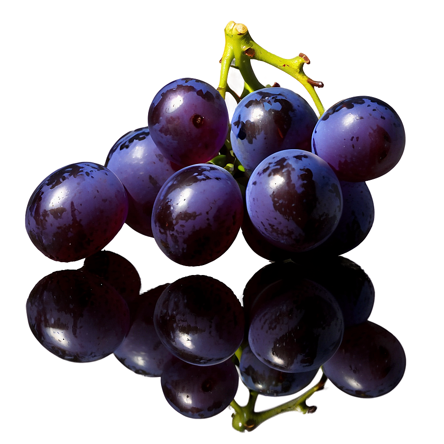 Single Grape With Reflection Png Ewy