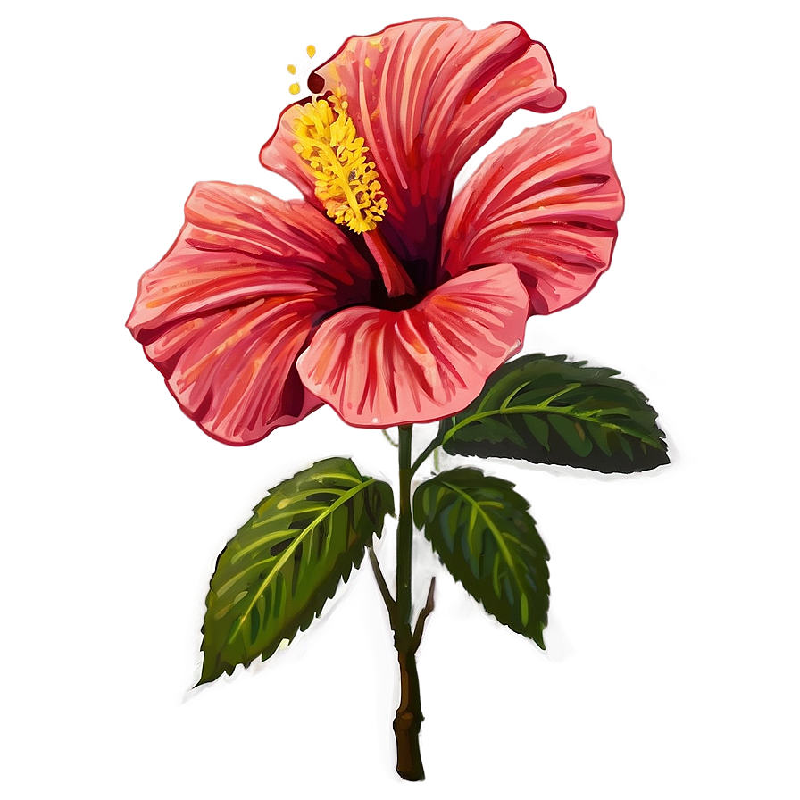 Single Hibiscus Png 05232024