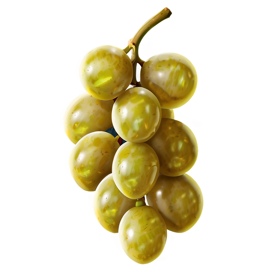 Single Juicy Grape Png Tyr