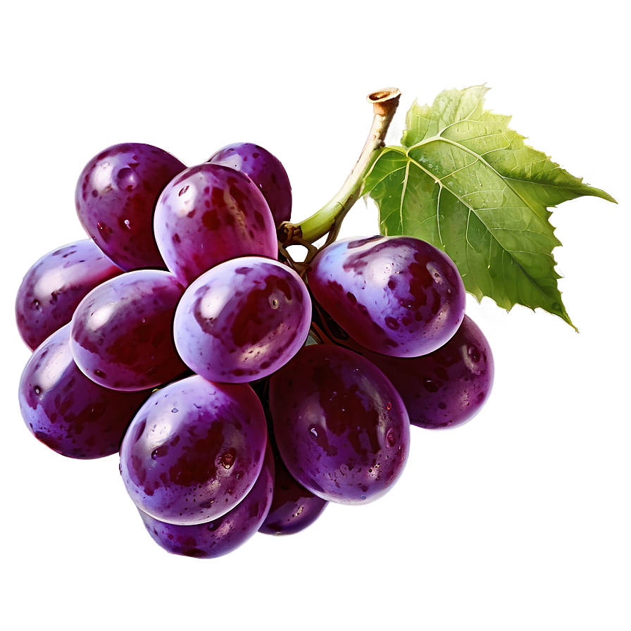 Single Juicy Grape Png Tyu