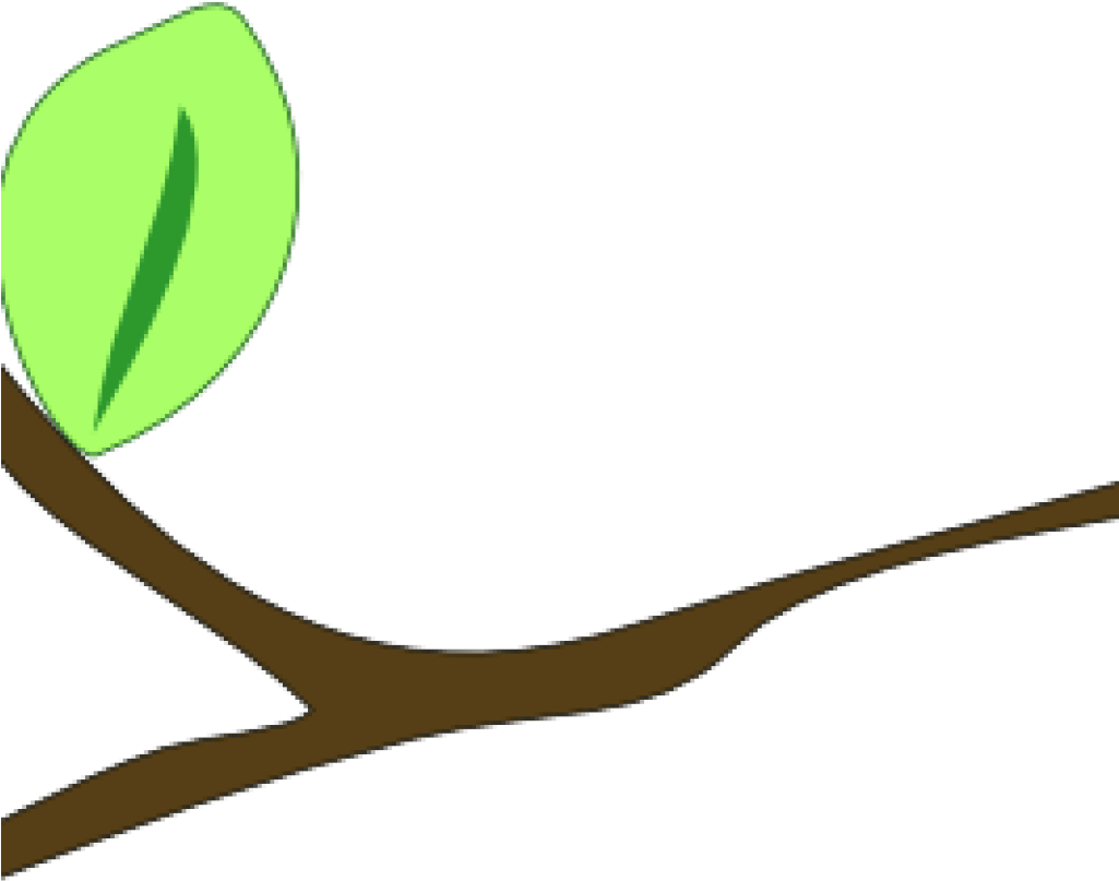 Single Leafon Branch Illustration PNG with transparent background