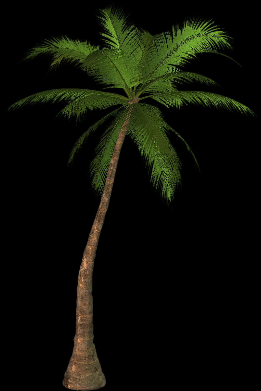 Single Palm Tree Black Background