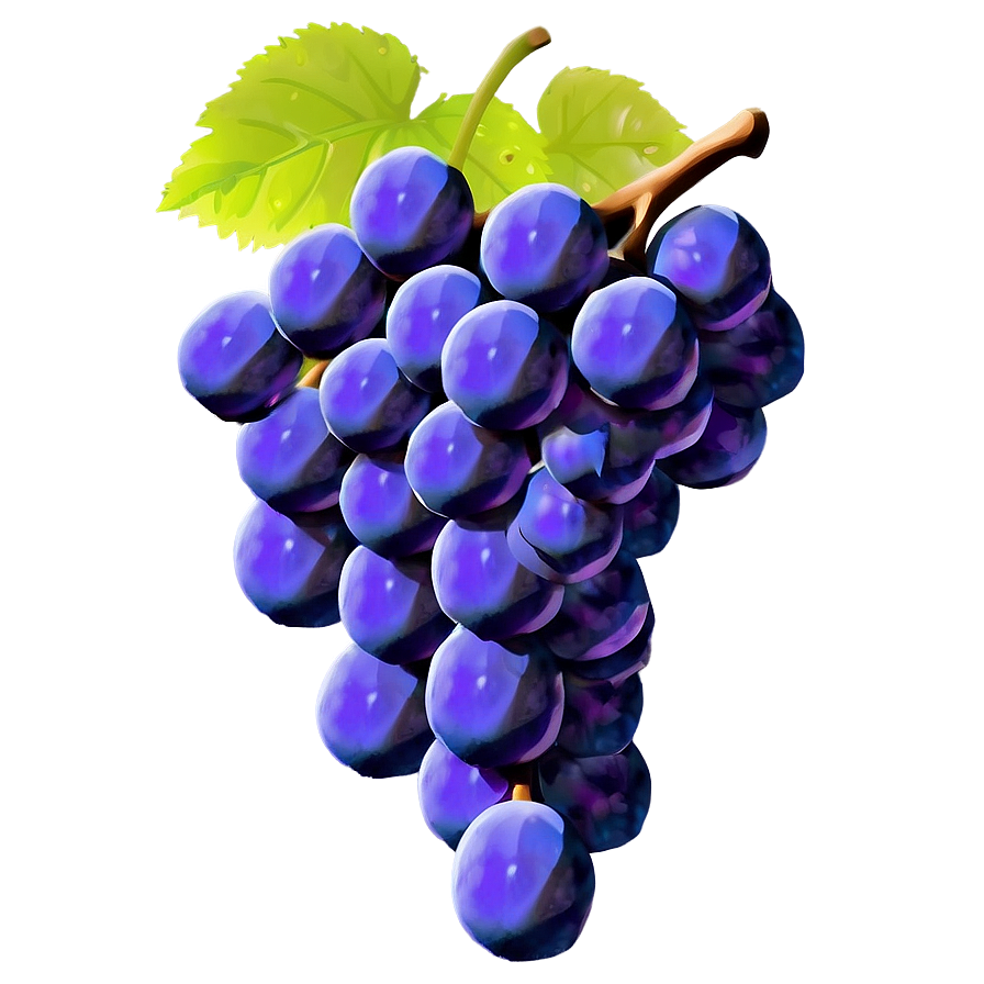 Single Purple Grape Png 06292024