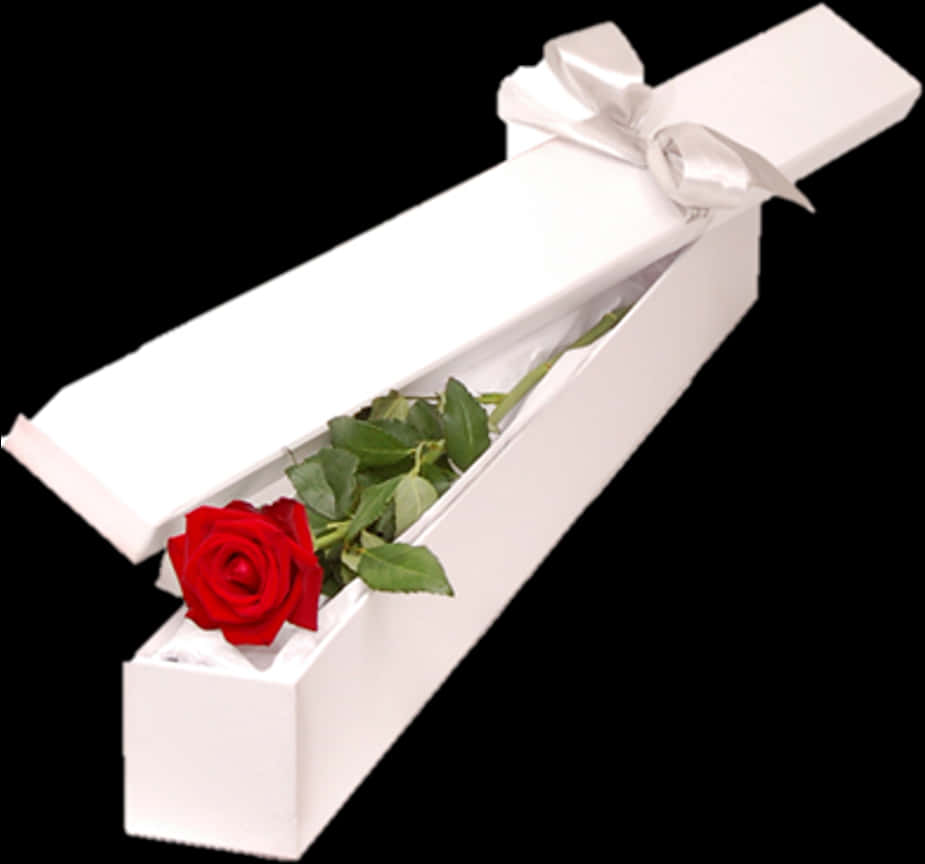 Single Red Rosein Gift Box PNG with transparent background