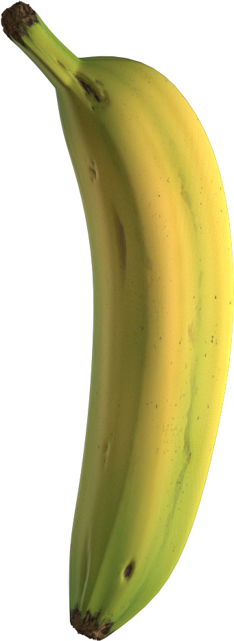 Single Ripe Banana Isolated