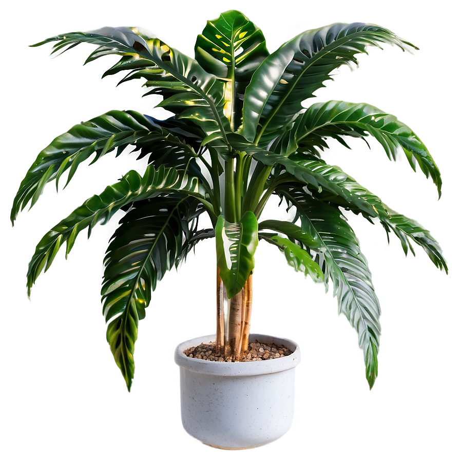 Single Tall Plant Png Mtk85