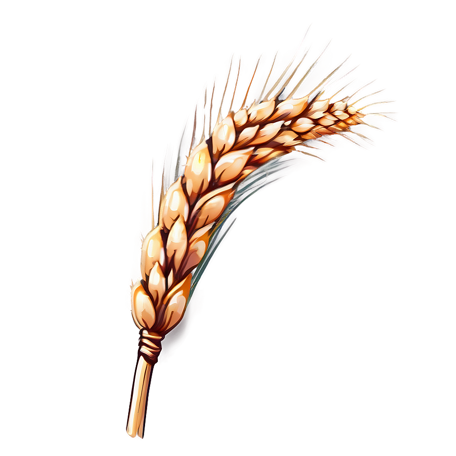 Single Wheat Ear Png Vfe63