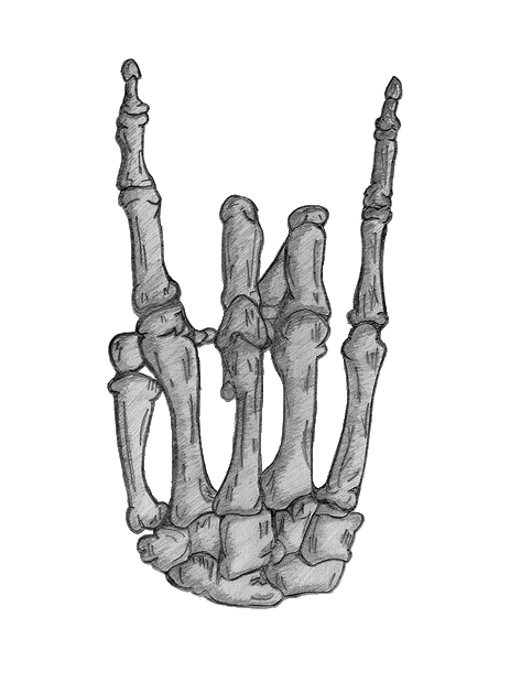 Skeleton Hand Sketch Artwork