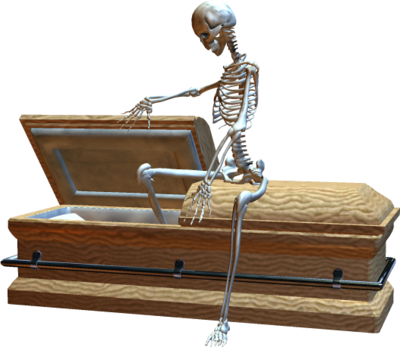 Coffin, Png, And Skeleton Image - Skeleton In Coffin Png PNG with transparent background