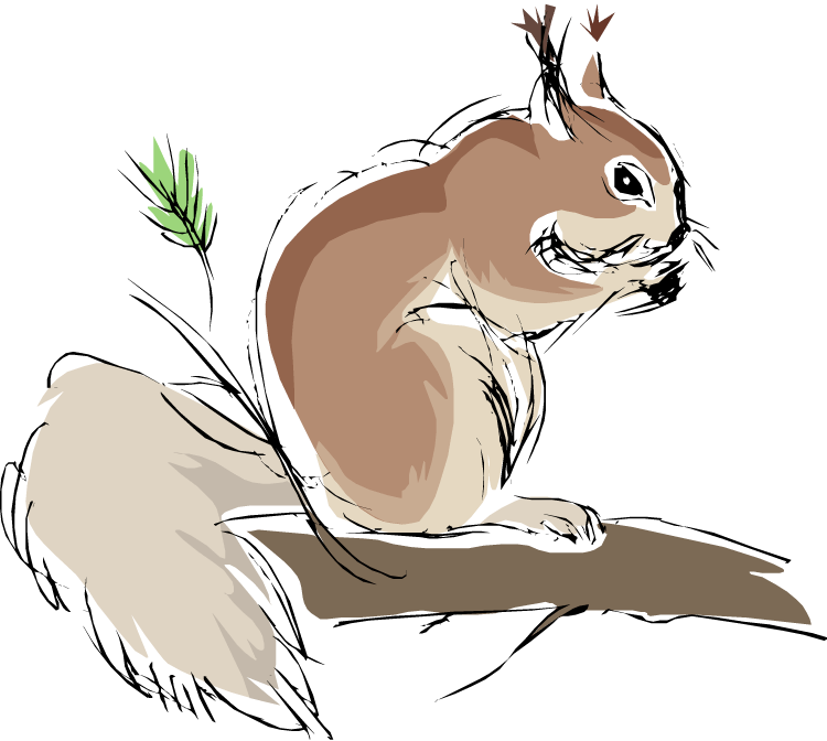 Sketch_of_ Squirrel_on_ Branch.png