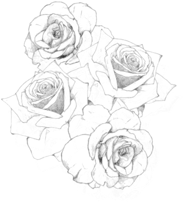 #rosas #rose #png #recursos #negro #black #black & - Rose Tattoo Png, Transparent Png PNG with transparent background