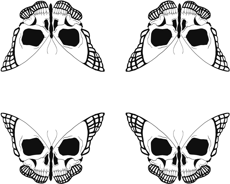 Skull Butterfly Pattern