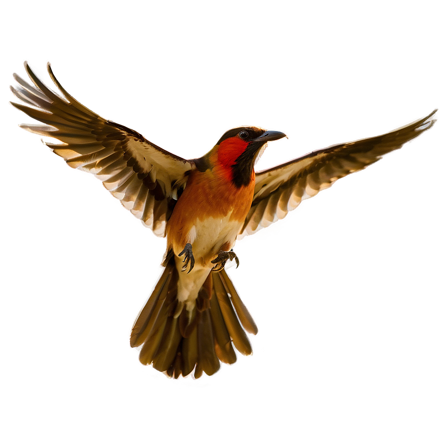 Skyward Bird Flight Png 06122024