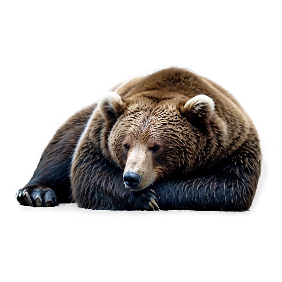 Sleeping Bear Png 78