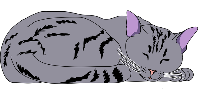 Sleeping Black Cat Illustration