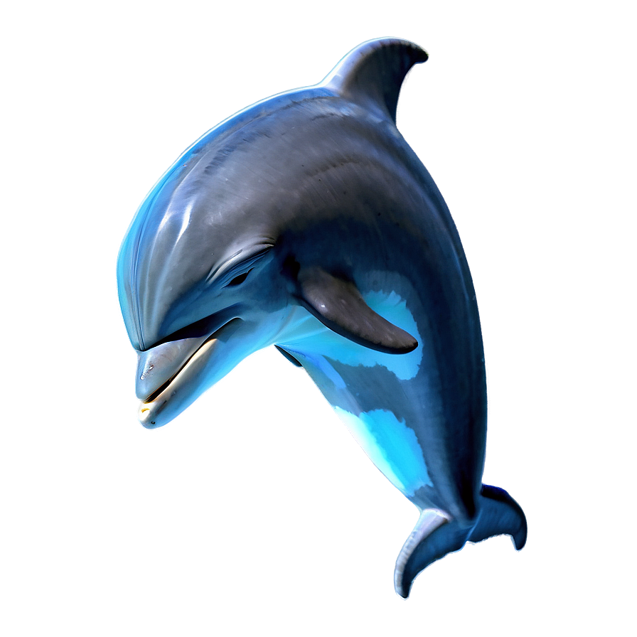 Sleeping Dolphin Png Lgy