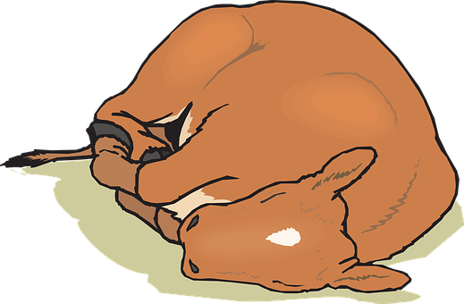 Sleeping Fawn Illustration PNG with transparent background