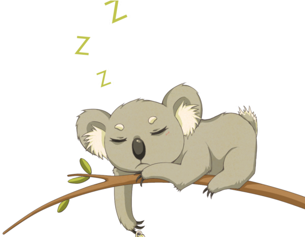 Sleeping Koala Cartoon