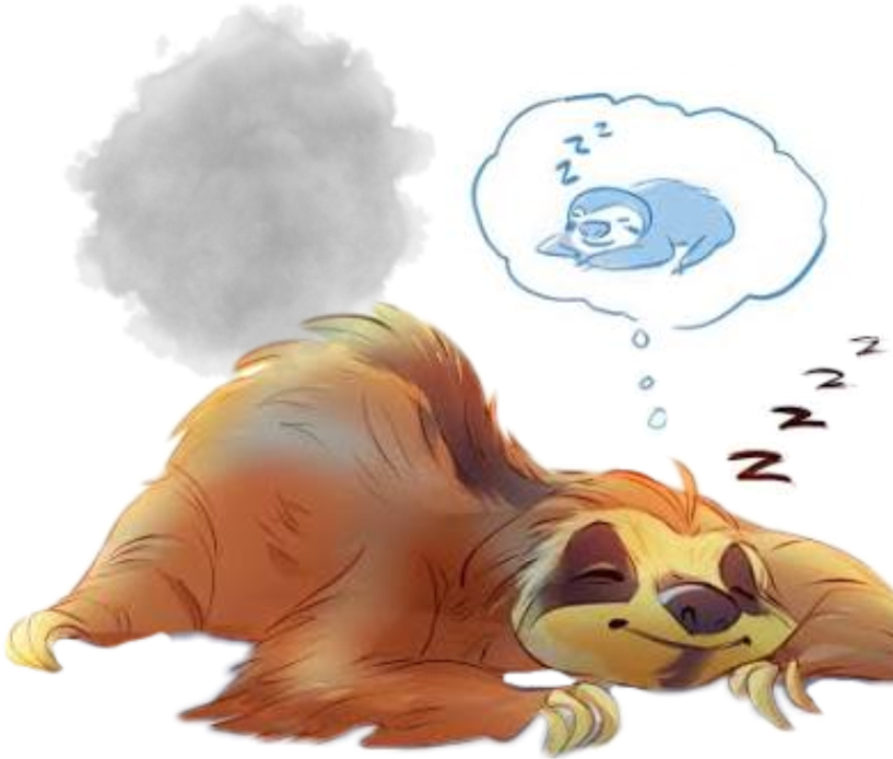 Sleeping Sloth Fart Dream