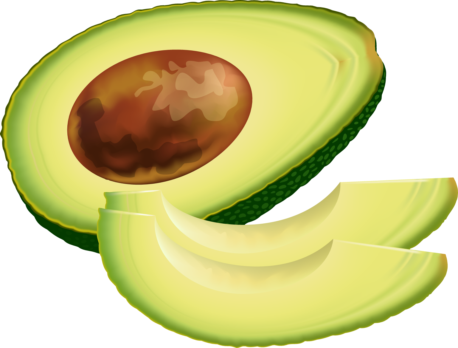 Sliced Avocado Illustration