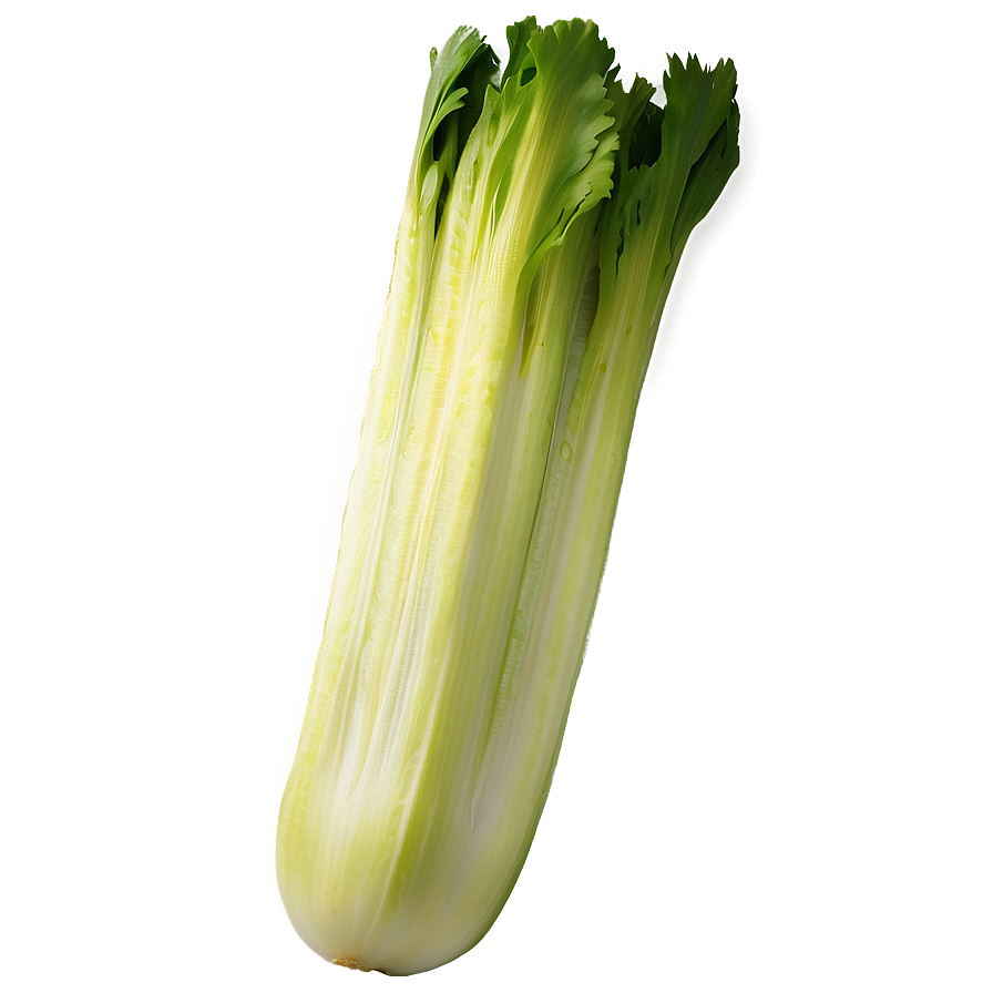 Sliced Celery Png 06252024