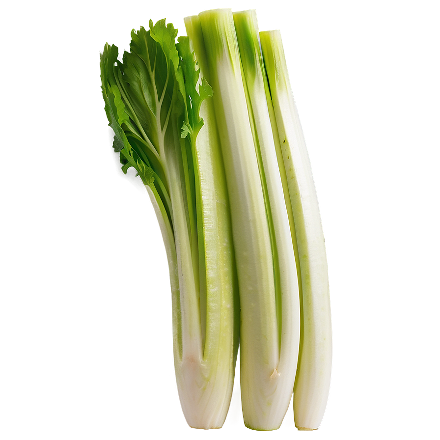 Sliced Celery Png 06252024