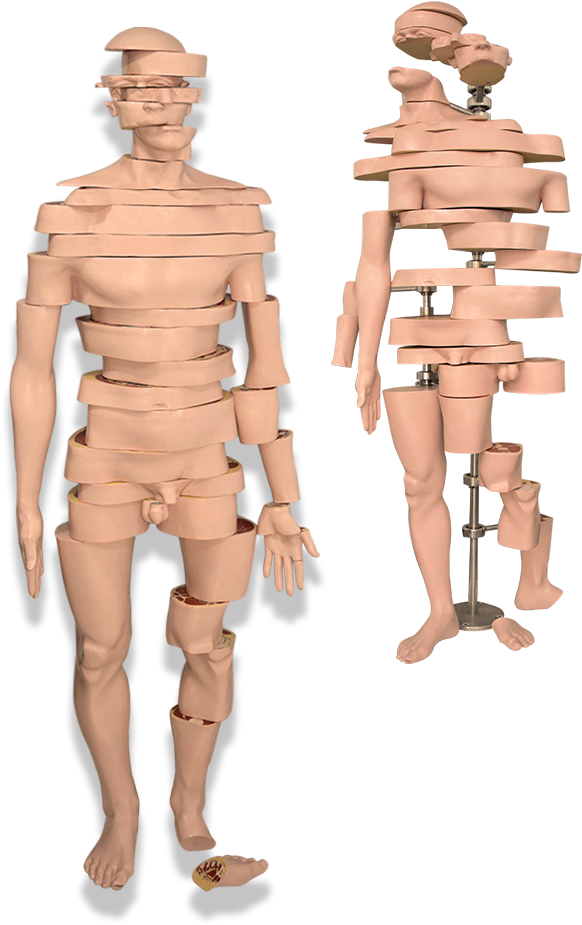 Transparent Torso Png - Figurine, Png Download PNG with transparent background