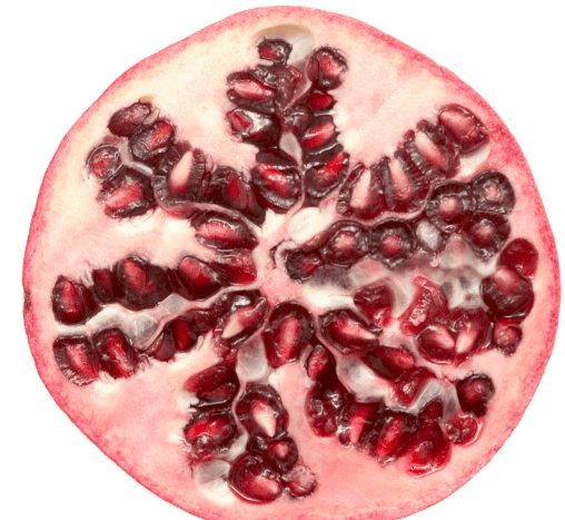 Sliced Pomegranate Cross Section