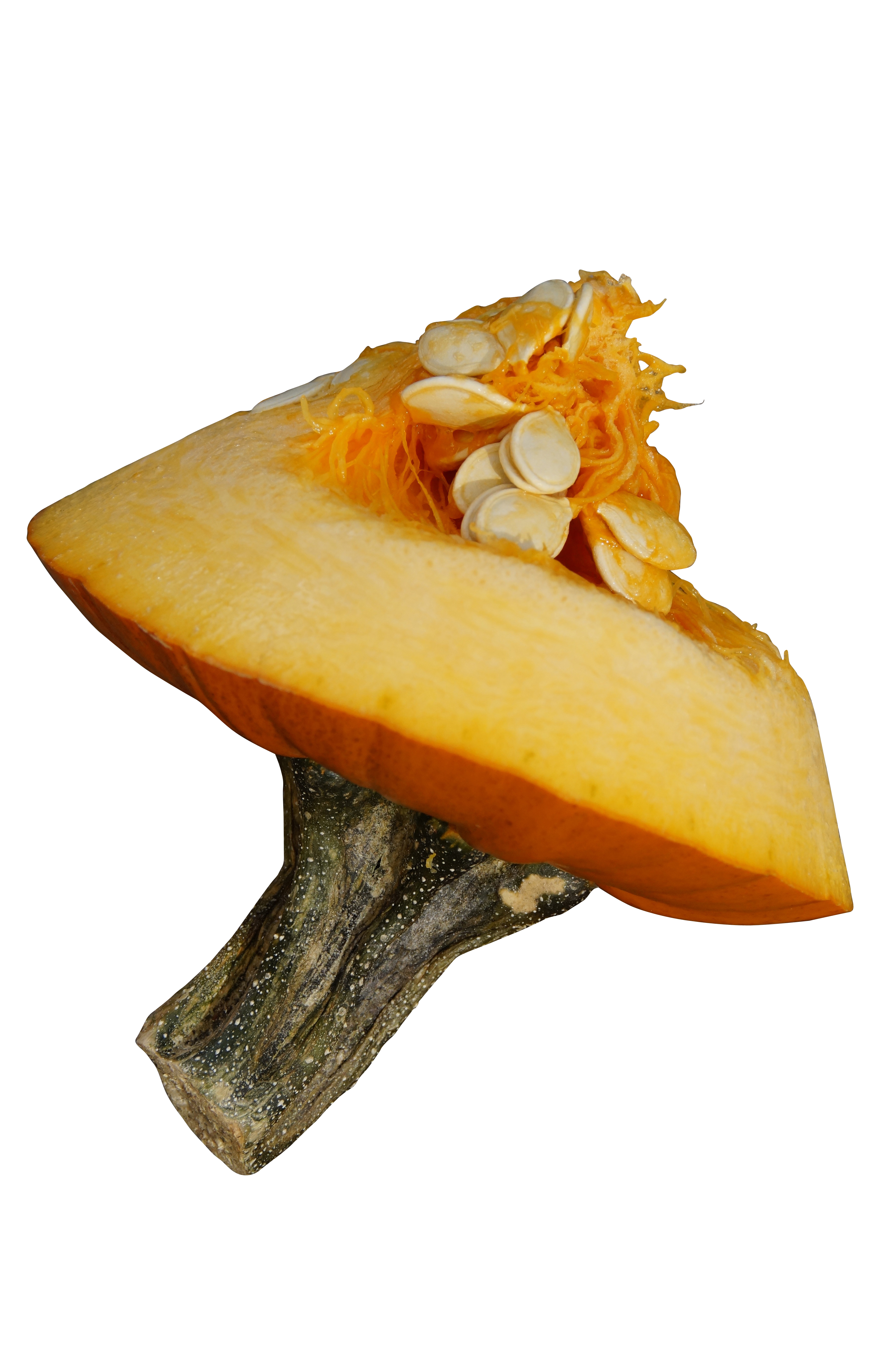 Sliced Pumpkin Seed Exposure PNG with transparent background