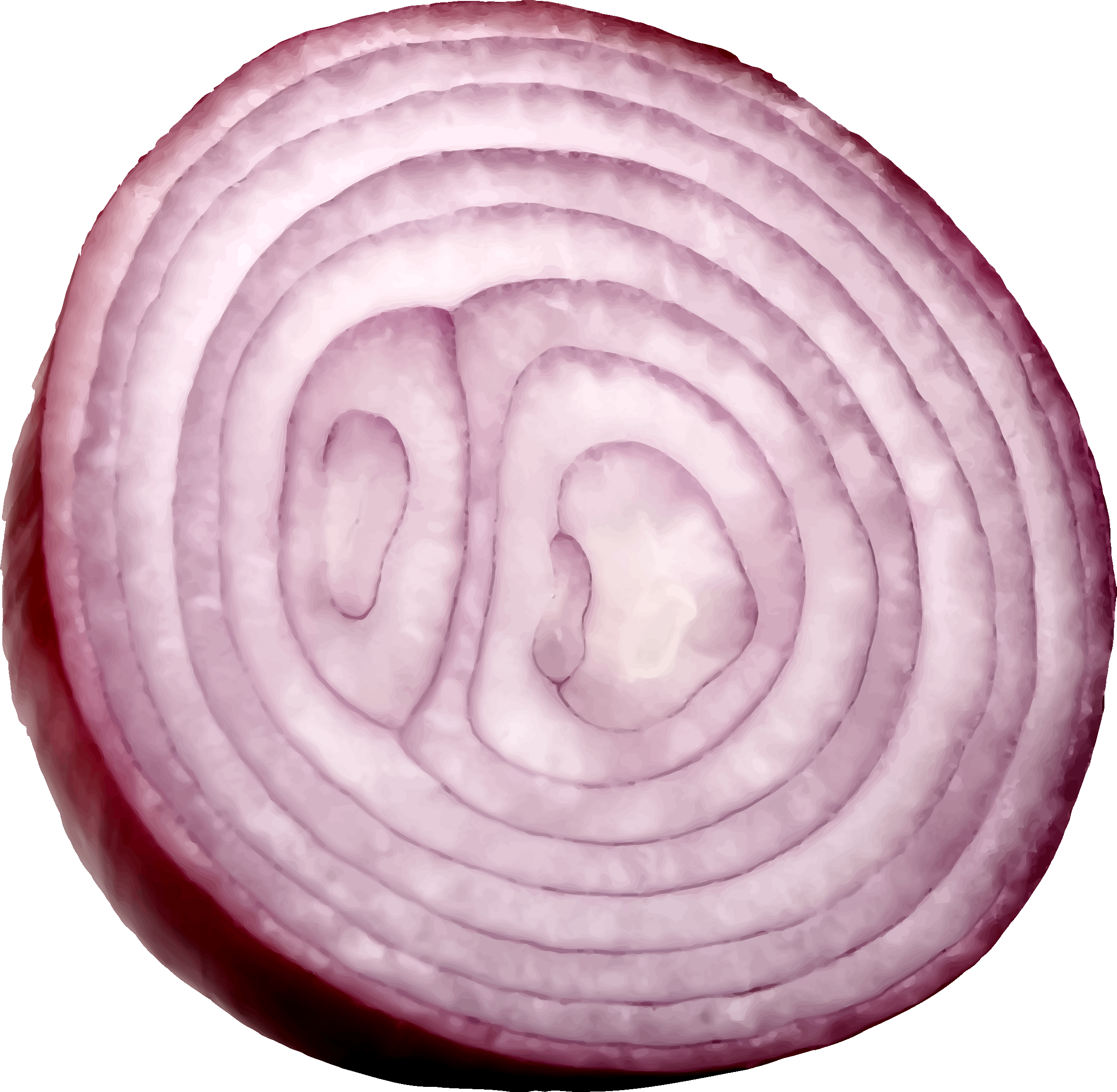 Slice Onion Png - Onion Cut Png, Transparent Png PNG with transparent background