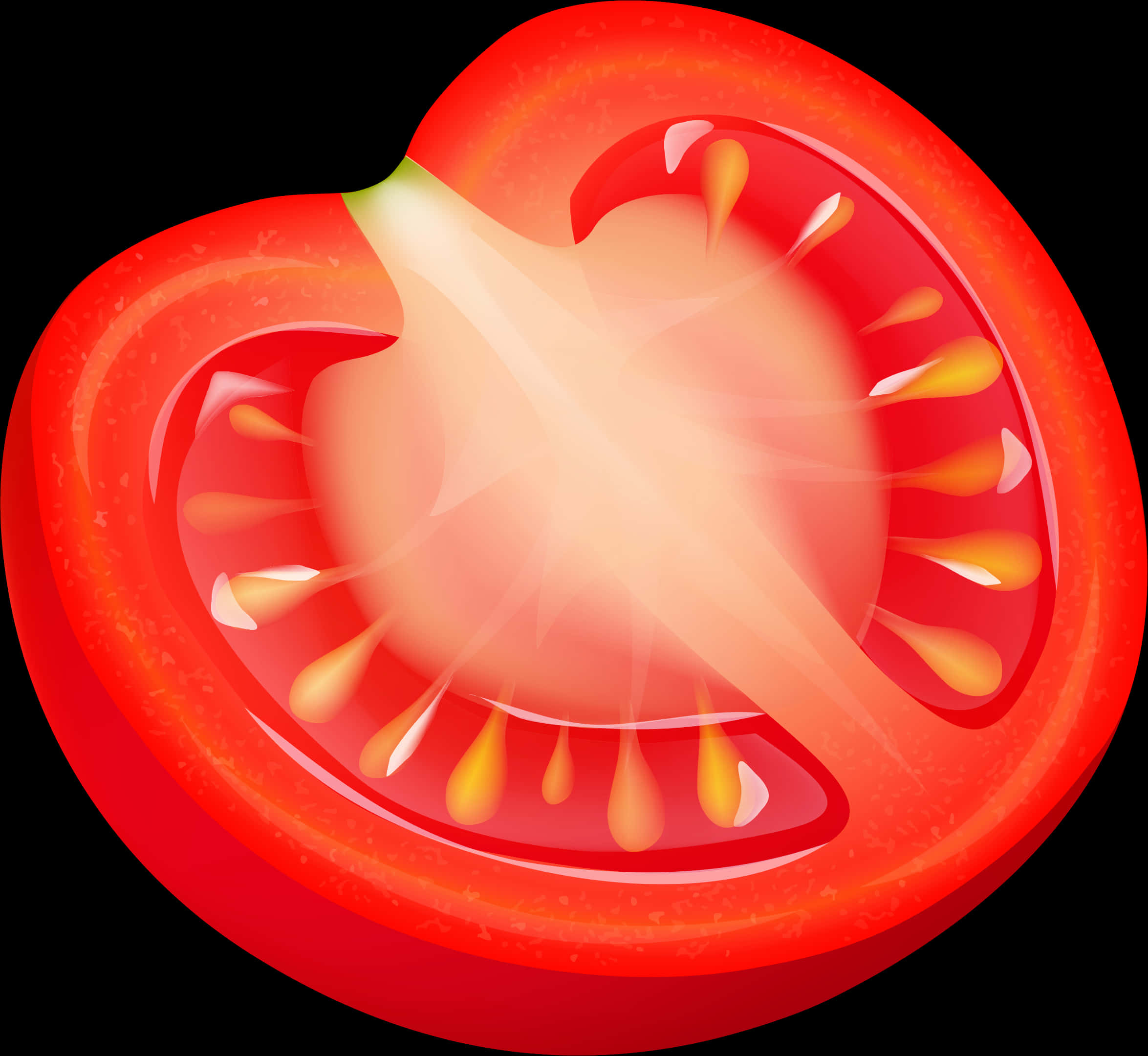 Sliced Tomato Cross Section