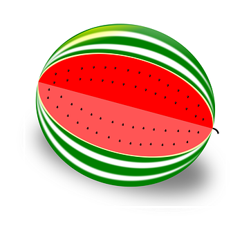 Sliced Watermelon Vector Illustration PNG with transparent background