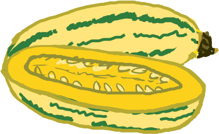 Sliced Yellow Zucchini Illustration