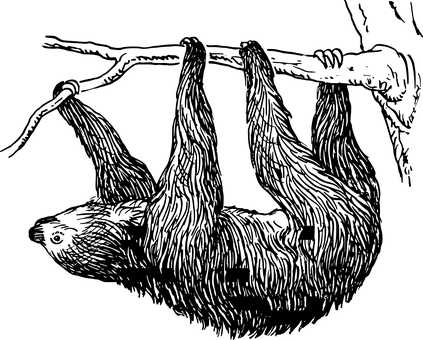 Sloth_ Black_ Background.jpg PNG with transparent background