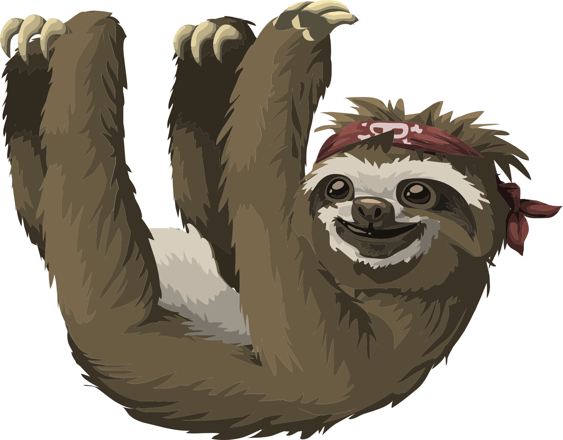 Sloth Hanging - Sloth Clipart Png, Transparent Png PNG with transparent background