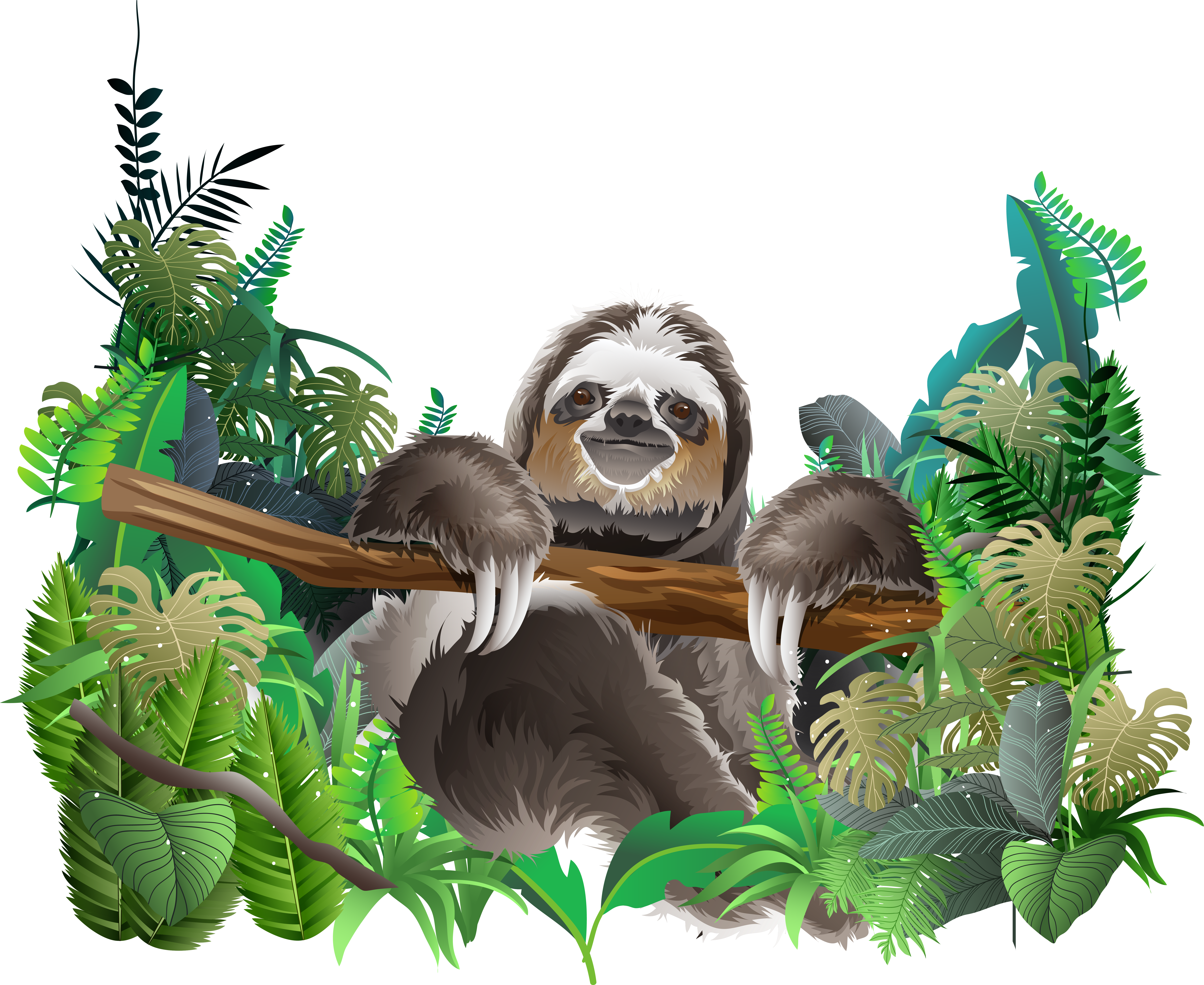 Transparent Sid The Sloth Png - Rainforest Animal Png, Png Download PNG with transparent background