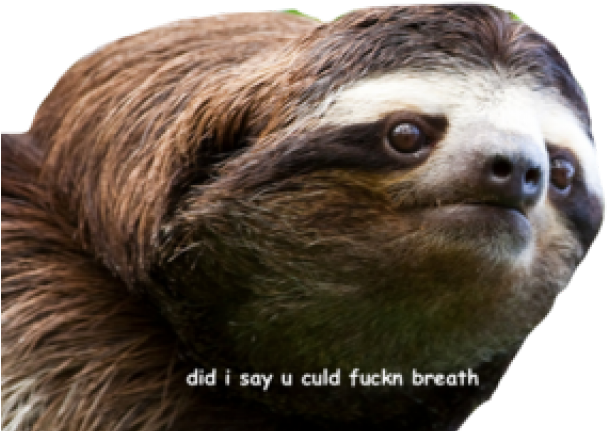 Sloth Png Transparent Images - Im Sorry Sloth, Png Download PNG with transparent background