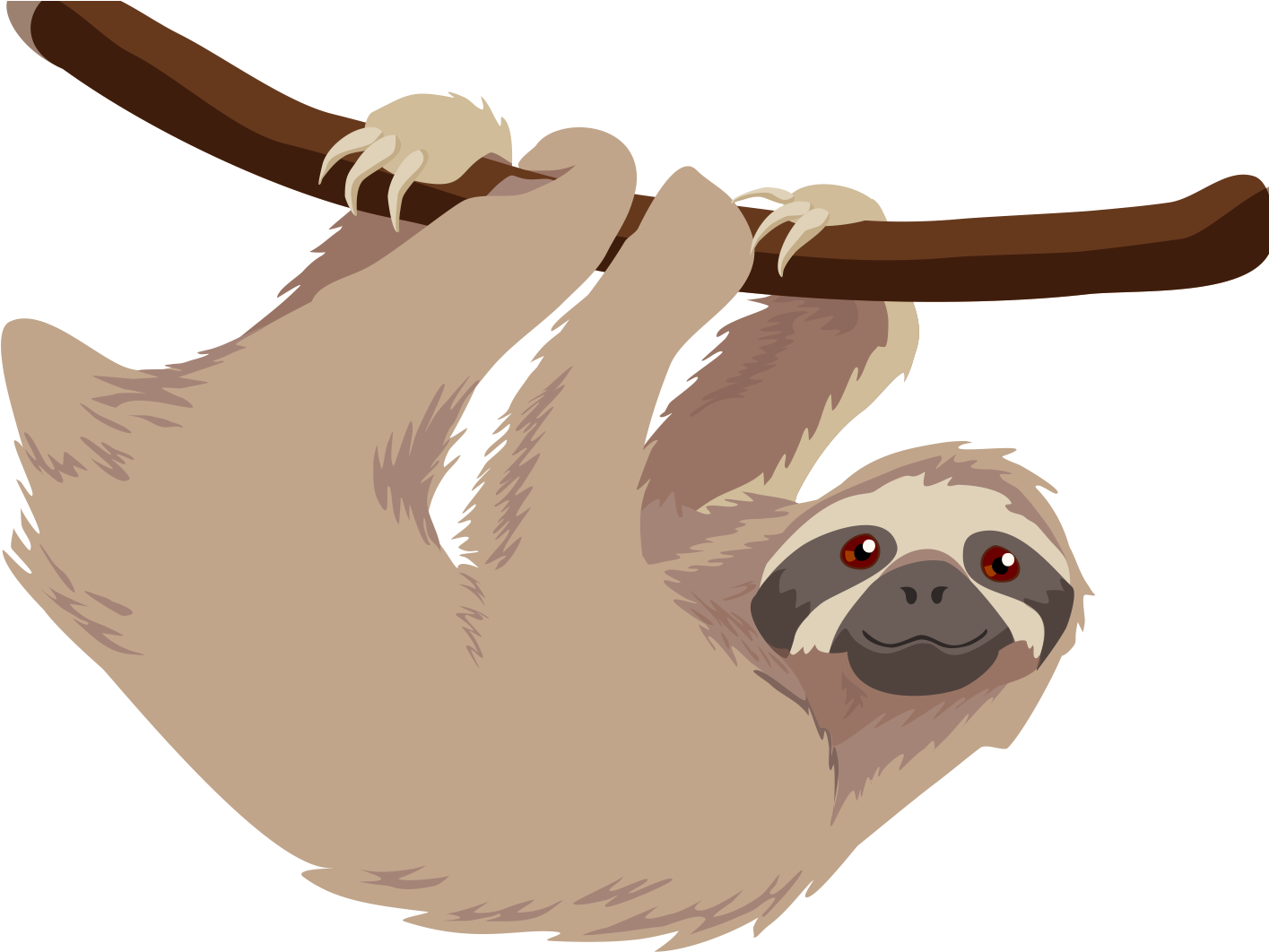 Sloth Png Transparent Sloth Images - Sloth Cartoon Transparent Background, Png Download PNG with transparent background