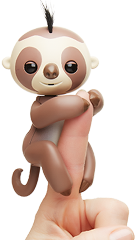 Sloth Things, HD Png Download PNG with transparent background