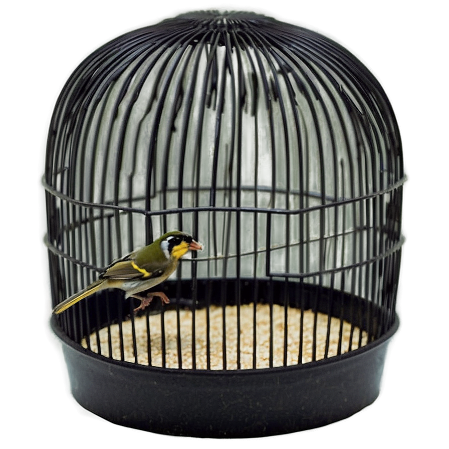 Small Bird Cage Png Vqf22