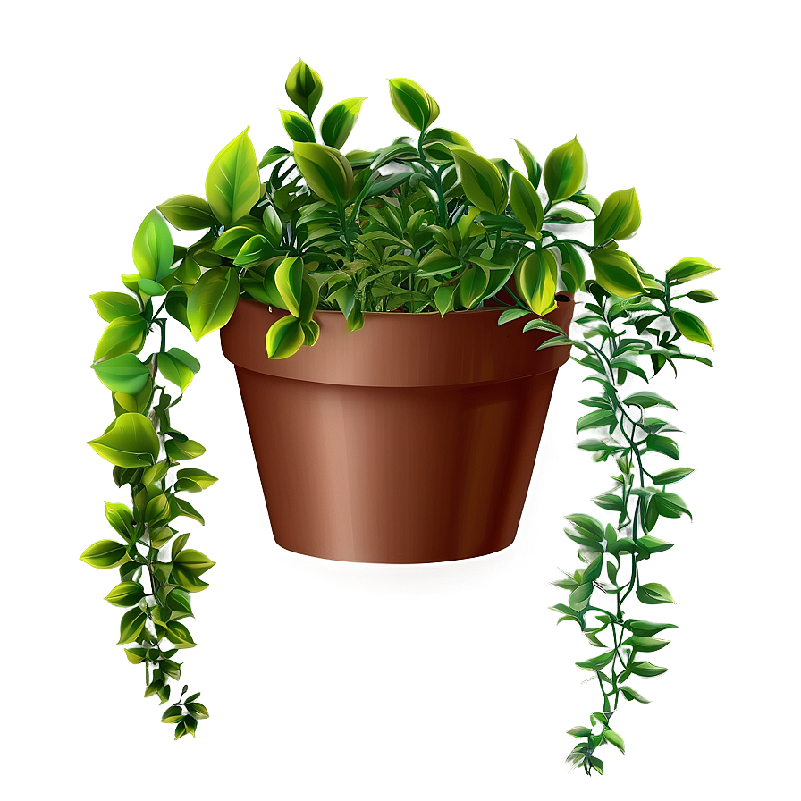 Small Hanging Plant Png 05252024