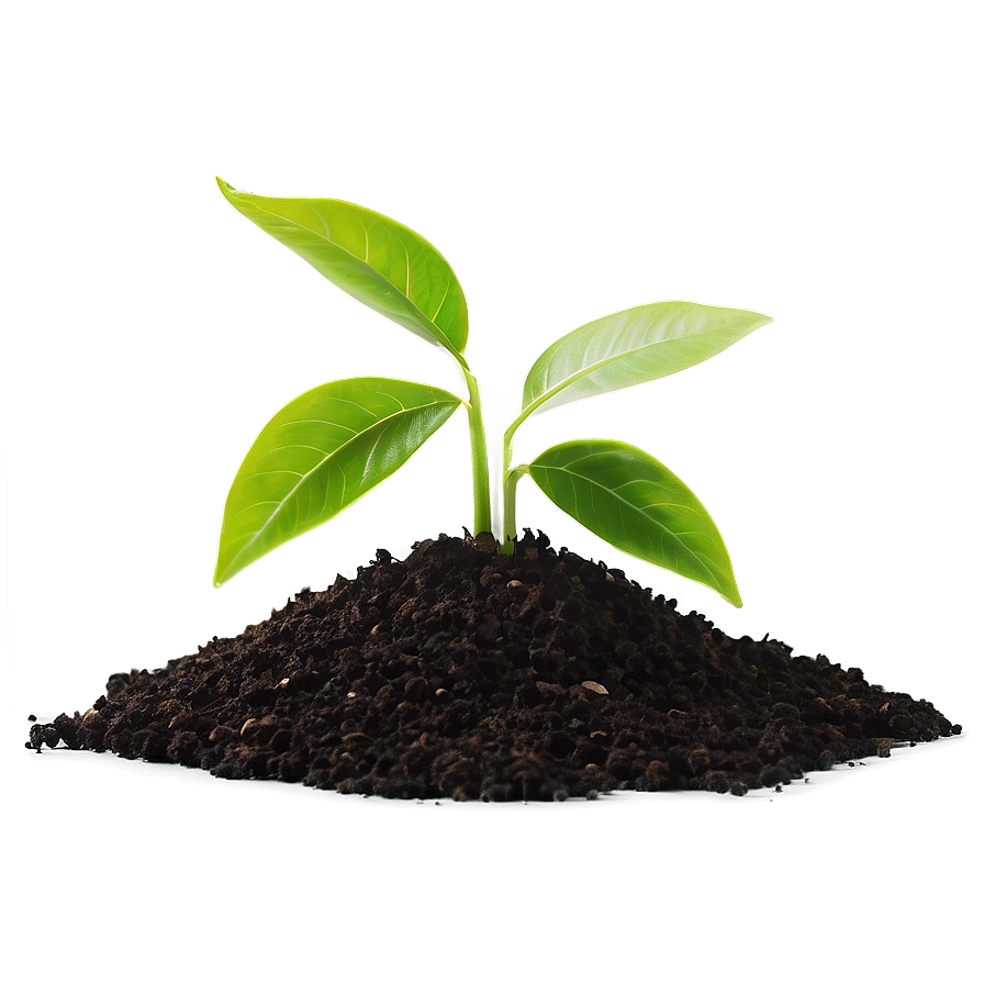 Small Plant With Soil Png 98